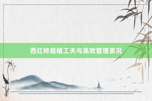 西红柿栽植工夫与高效管理景况